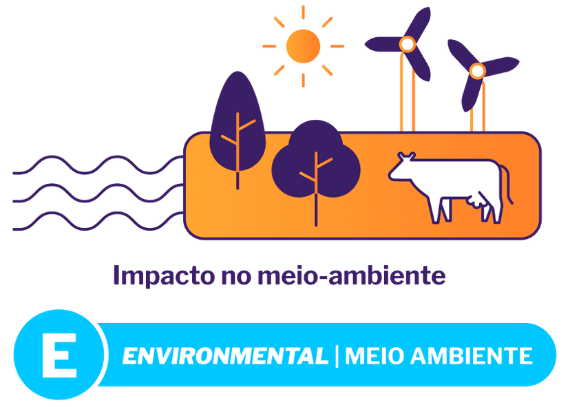 Meio Ambiente